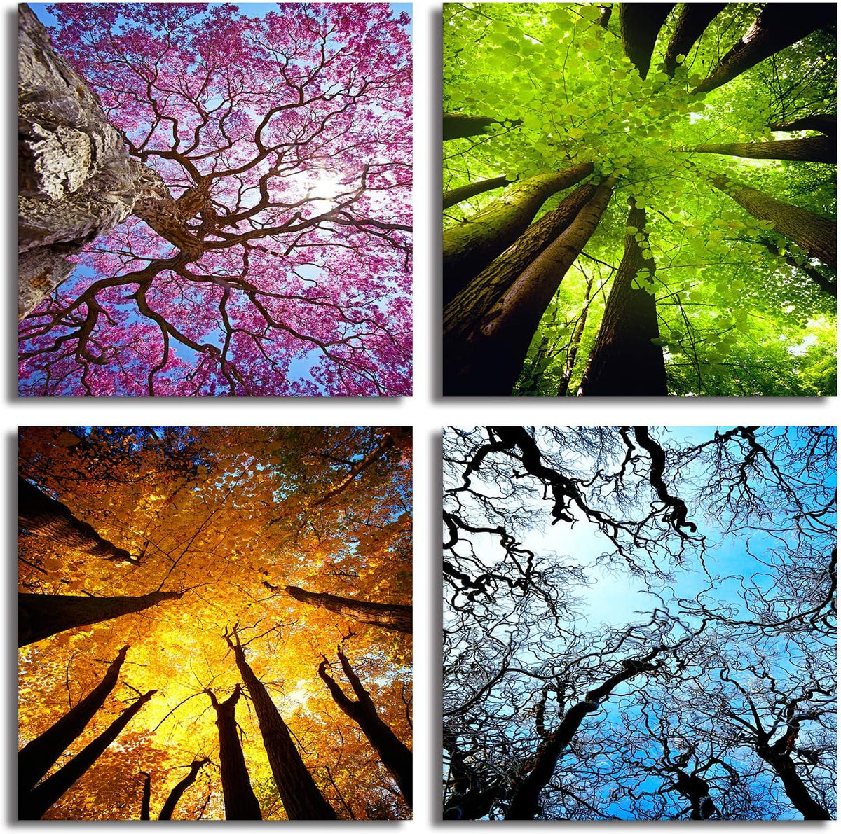 Art 4 Panels Canvas Wall Art Spring Summer Autumn Winter Four Seasons Landscape Color Tree Painting Picture Prints Modern Giclee Artwork Stretched and Framed for Living Room Home Decoration