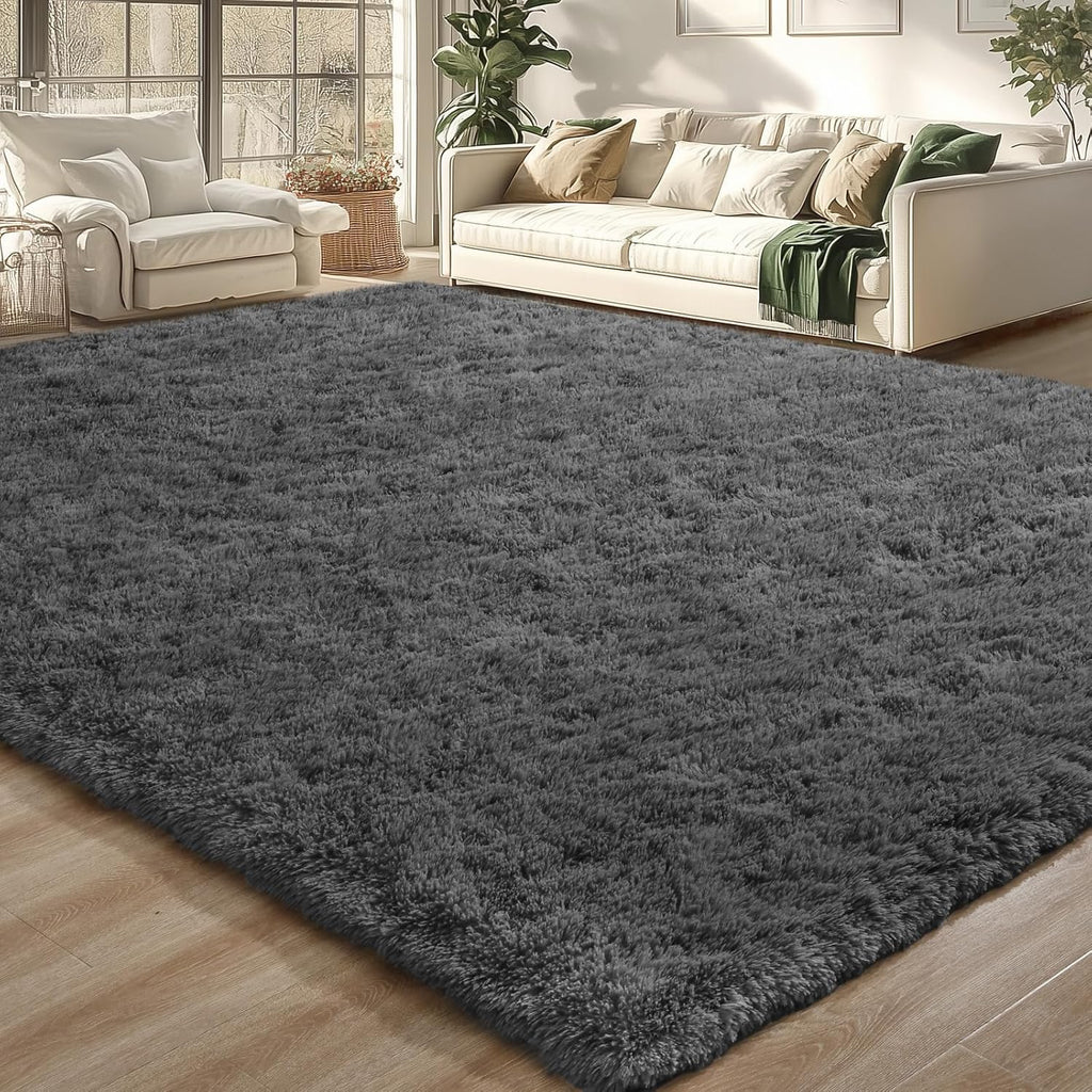 Modern Soft Fluffy Small Shaggy Rug for Bedroom Livingroom Dorm Kids Room Indoor Home Decorative, Non-Slip Plush Furry Fur Area Rugs Comfy Nursery Accent Floor Carpet 5X7 Feet,Dark Grey